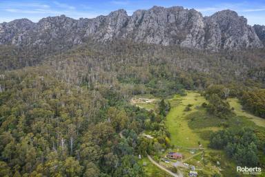 Farm Sold - TAS - Claude Road - 7306 - Live amongst the trees  (Image 2)