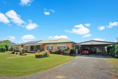 Farm For Sale - NSW - Alumy Creek - 2460 - A rare opportunity has arisen!  (Image 2)