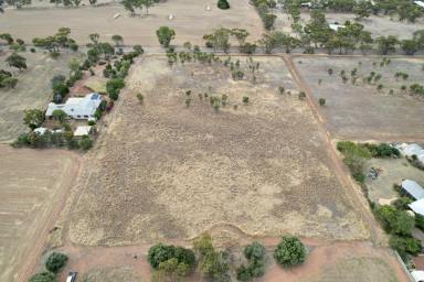 Farm For Sale - WA - York - 6302 - Pristine views to Mt Bakewell
2 lots under offer, 2 remain  (Image 2)