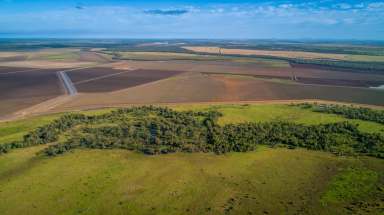 Farm Sold - QLD - Emerald - 4720 - Abundance of Water with Diversified Income Streams  (Image 2)