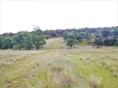 Farm Sold - NSW - Bombala - 2632 - "Connaughtman's Creek" - 150 Acres  (Image 2)