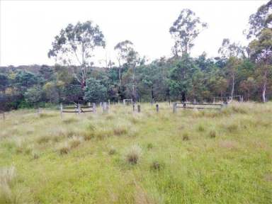 Farm Sold - NSW - Bombala - 2632 - "Connaughtman's Creek" - 150 Acres  (Image 2)