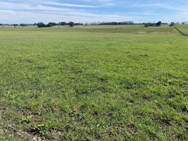 Farm For Sale - VIC - Wallacedale - 3303 - PRODUCTIVE WALLACEDALE DISTRICT LAND  (Image 2)