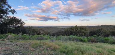 Farm Sold - NSW - Bevendale - 2581 - 294 ACRES, DWELLING ENTITLEMENT TO BUILD YOUR DREAM HOME, LIFESTYLE & RECREATIONAL PROPERTY, ROAD FRONT, MAGNIFICENT VIEWS, ABUNDANT WILDLIFE.  (Image 2)