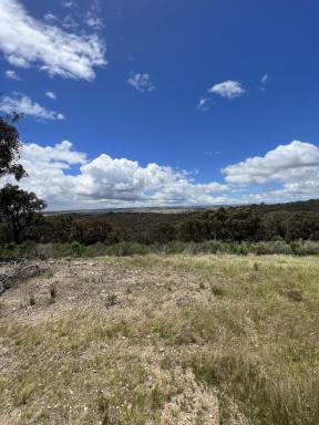Farm Sold - NSW - Bevendale - 2581 - 294 ACRES, DWELLING ENTITLEMENT TO BUILD YOUR DREAM HOME, LIFESTYLE & RECREATIONAL PROPERTY, ROAD FRONT, MAGNIFICENT VIEWS, ABUNDANT WILDLIFE.  (Image 2)