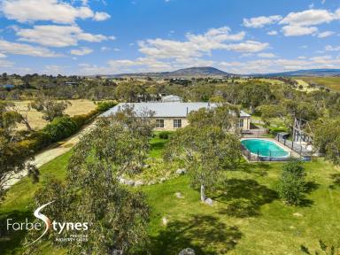 Farm Sold - NSW - Moonbah - 2627 - Dual Key Living on private 6.8 acres  (Image 2)