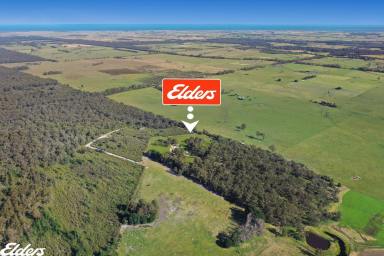 Farm Sold - VIC - Woodside - 3874 - RURAL AND COASTAL CHARACTER  IN A HIDDEN OASIS!  (Image 2)