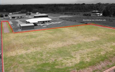 Farm Sold - QLD - Tolga - 4882 - 1 Acre Vacant Land to build your dream home  (Image 2)