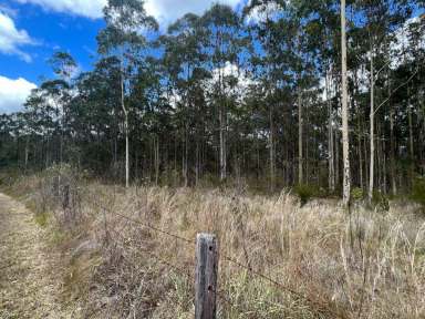 Farm Sold - NSW - Yarravel - 2440 - Bush Acreage in Yarravel  (Image 2)