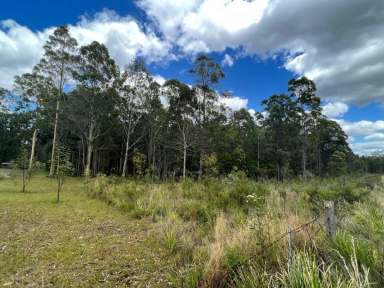 Farm Sold - NSW - Yarravel - 2440 - Bush Acreage in Yarravel  (Image 2)