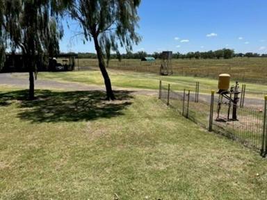 Farm Sold - NSW - Moree - 2400 - AUCTION!  (Image 2)