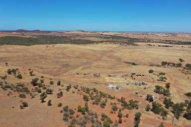 Farm Sold - WA - Bowes - 6535 - "Black Hill"  - Percy Road Bowes - "In The Cappuccino Strip"  (Image 2)