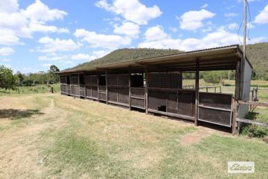 Farm Sold - QLD - Mount Berryman - 4341 - Huge Potential on 80 Acres.  (Image 2)