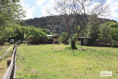 Farm Sold - QLD - Mount Berryman - 4341 - Huge Potential on 80 Acres.  (Image 2)