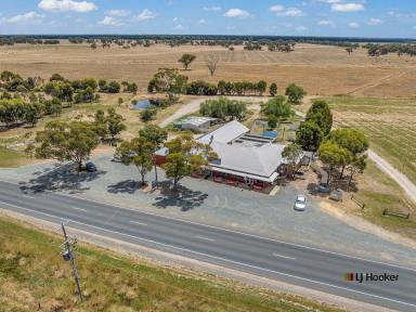 Farm For Sale - VIC - Echuca - 3564 - Thirsty & Delicious ! On 20 Acres!  (Image 2)