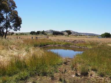 Farm For Sale - VIC - Waubra - 3352 - 4035M2 (0.99 Acres) Affordable Allotment With Possibilities and Potential  (Image 2)