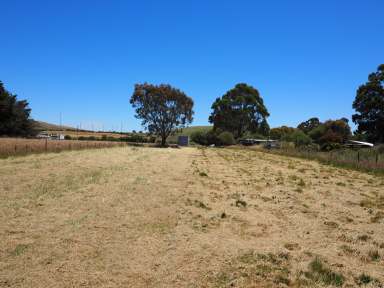 Farm For Sale - VIC - Waubra - 3352 - 4035M2 (0.99 Acres) Affordable Allotment With Possibilities and Potential  (Image 2)