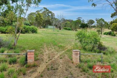 Farm Sold - SA - Cockatoo Valley - 5351 - UNDER CONTRACT BY CHRISTOPHER HURST  (Image 2)
