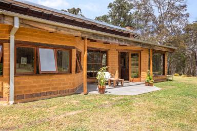 Farm Sold - NSW - Bega - 2550 - UNDER OFFER Modern, hand-crafted mudbrick, off-grid, sustainable living  (Image 2)