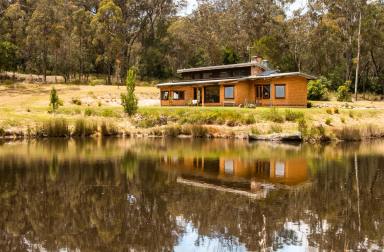 Farm Sold - NSW - Bega - 2550 - UNDER OFFER Modern, hand-crafted mudbrick, off-grid, sustainable living  (Image 2)