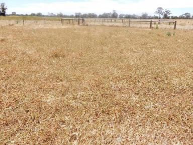 Farm Leased - VIC - Patyah - 3318 - Versatile Cropping Property Lease   (Image 2)