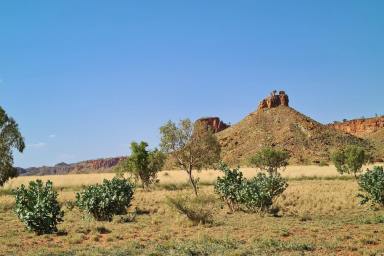 Farm For Sale - WA - Fitzroy Crossing - 6765 - Outstanding Breeding property and Herd  (Image 2)