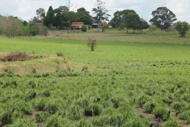 Farm For Sale - NSW - Tenterfield - 2372 - DEVELOPER / INVESTOR ?  (Image 2)