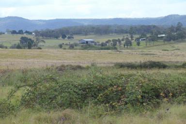 Farm For Sale - NSW - Tenterfield - 2372 - DEVELOPER / INVESTOR ?  (Image 2)
