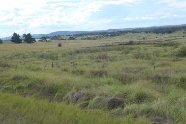 Farm For Sale - NSW - Tenterfield - 2372 - DEVELOPER / INVESTOR ?  (Image 2)