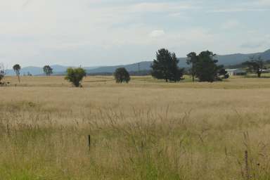 Farm For Sale - NSW - Tenterfield - 2372 - DEVELOPER / INVESTOR ?  (Image 2)