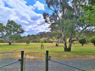 Farm Sold - NSW - Cooma - 2630 - Secluded Lifestyle Opportunity!  (Image 2)
