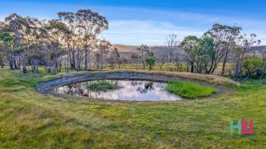 Farm Sold - NSW - South Bowenfels - 2790 - Ready to design your dream home?  (Image 2)
