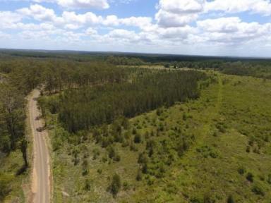Farm Sold - NSW - Myrtle Creek - 2469 - Fabulous Affordable Land Opportunity (#1 Of Two)  (Image 2)