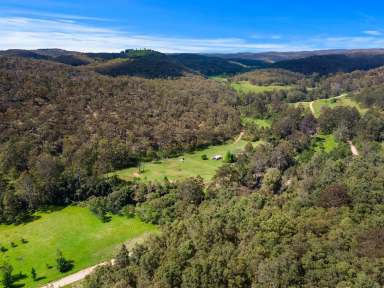 Farm For Sale - NSW - Putty - 2330 - Putty adventure haven  (Image 2)