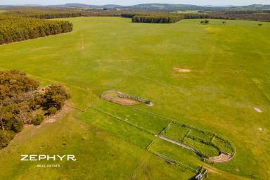 Farm For Sale - WA - Kalgan - 6330 - MIRAVALE Farm - First time available in 43 years.  (Image 2)