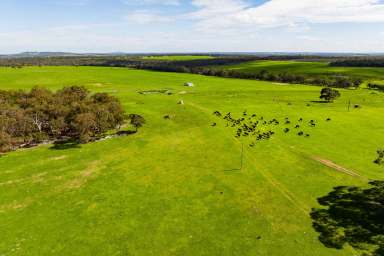 Farm For Sale - WA - Kalgan - 6330 - One of the Kalgan regions Prime Grazing Properties  (Image 2)