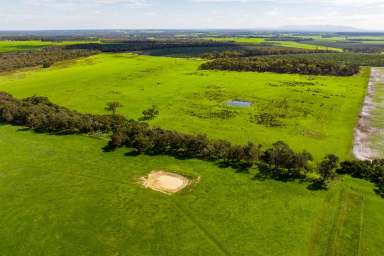 Farm For Sale - WA - Kalgan - 6330 - One of the Kalgan regions Prime Grazing Properties  (Image 2)