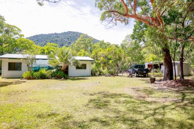 Farm Sold - QLD - Cooktown - 4895 - Large Allotment within proximity to all amenities  (Image 2)