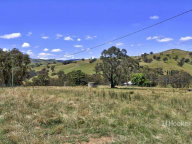 Farm Sold - VIC - Ensay - 3895 - PICTURE PERFECT OUTLOOK  (Image 2)