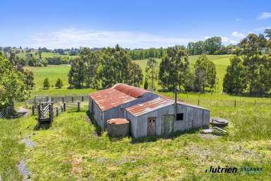 Farm Sold - VIC - Jindivick - 3818 - PRICE REDUCED - 26 Acres - Classic Early 1900's Home  (Image 2)