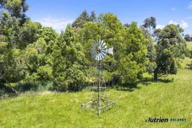 Farm Sold - VIC - Jindivick - 3818 - PRICE REDUCED - 26 Acres - Classic Early 1900's Home  (Image 2)