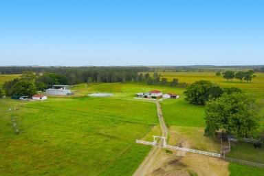Farm Sold - NSW - Limeburners Creek - 2444 - Idyllic Rural Setting-Cosy Cottage on 320 Acres of Prime Farming Land  (Image 2)