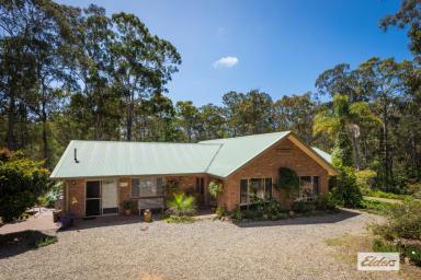 Farm For Sale - NSW - Kalaru - 2550 - Location & Easy Lake Access  (Image 2)