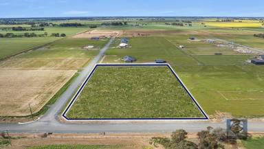 Farm For Sale - VIC - Echuca - 3564 - Bring Your Dream to Life  (Image 2)