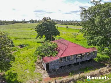 Farm For Sale - QLD - Givelda - 4670 - Red Soil, 28.33 Hectares on 2 titles  $1,950,000  (Image 2)