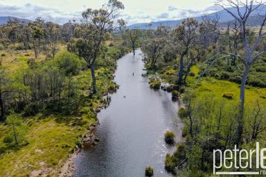 Farm Sold - TAS - Avoca - 7213 - Another Property SOLD SMART By The Team At Peter Lees Real Estate  (Image 2)