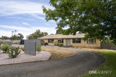 Farm For Sale - TAS - Romaine - 7320 - Peaceful country living starts here!  (Image 2)