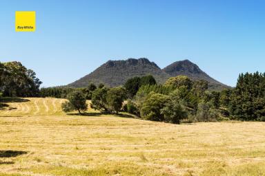 Farm Sold - VIC - Taggerty - 3714 - MOUNTAIN SCENERY, 140*M RIVER FRONTAGE, 5.4* ACRE BLANK CANVAS  (Image 2)