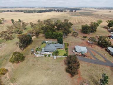 Farm Sold - NSW - Ungarie - 2669 - Red Loam Soils  With Full Moisture Profile  (Image 2)