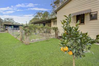 Farm For Sale - NSW - Hallidays Point - 2430 - A SMART INVESTMENT - Two Houses, One Acre, Close to the beach, with business, dual income and further development potential!  (Image 2)